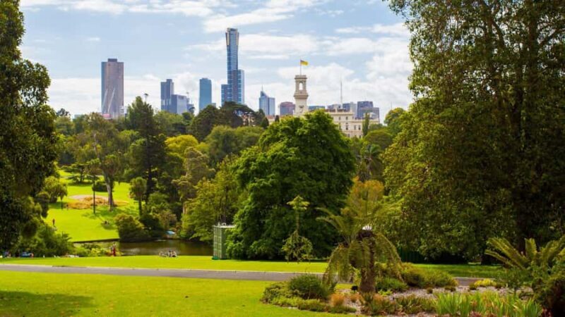 Best of Melbourne: Private Walking Tour with a Local - Practical Details and Value