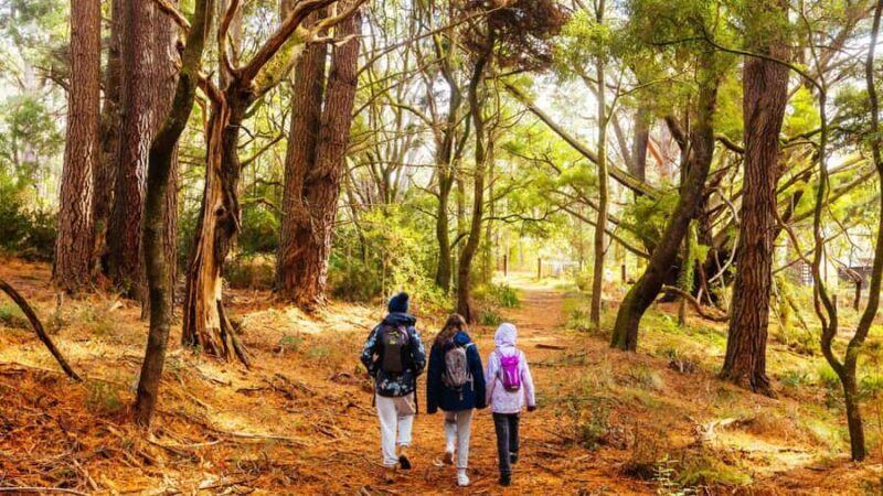 Best of Melbourne: Private Walking Tour with a Local - Who Should Book This Tour?