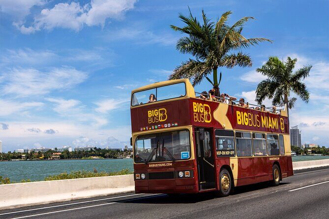 Best of Miami Combo: Everglades, Bay Cruise, & Open-top Bus Tour - A Well-Rounded Miami Adventure