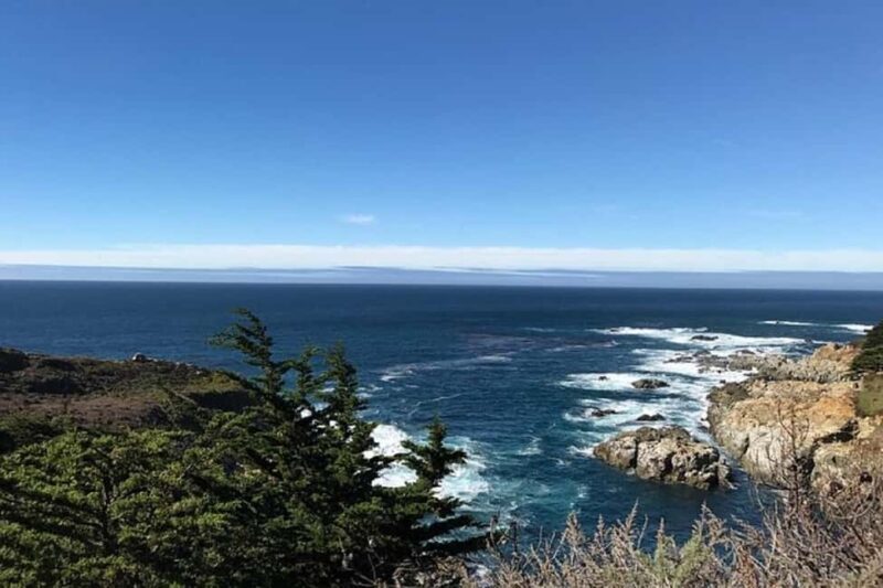 Best of Monterey Peninsula & Carmel-the-Sea Small Group Tour - Who Will Love This Tour?