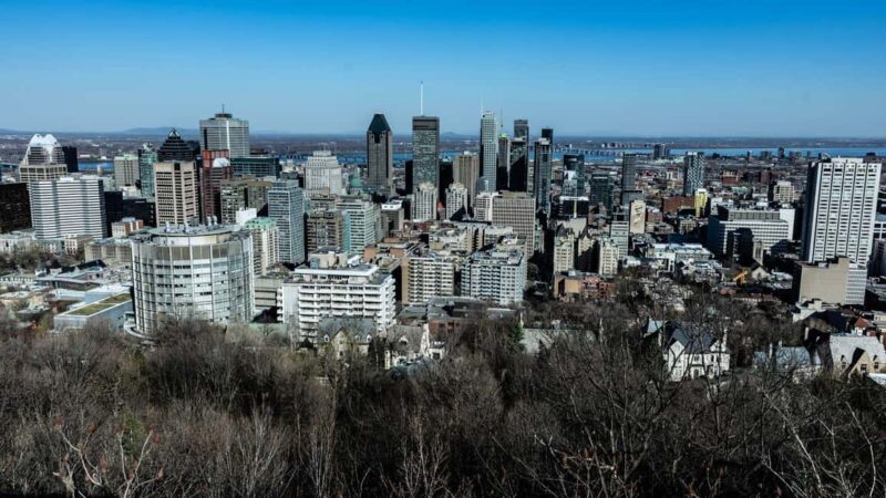 Best of Montréal: Private Walking Tour with a Local - The Sum Up