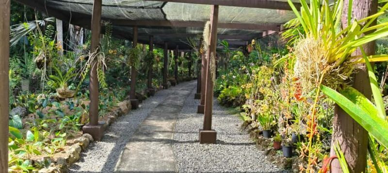 Best of Nadi Highlights - What to Expect from the Best of Nadi Highlights Tour
