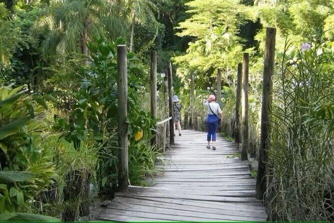 Best of Nadi Highlights - Authenticity and What You’ll Take Away