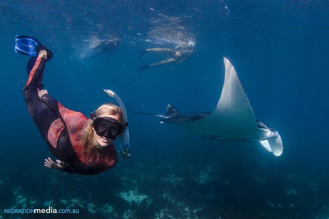 Best of Ningaloo Mantas and More - The Downside or Considerations