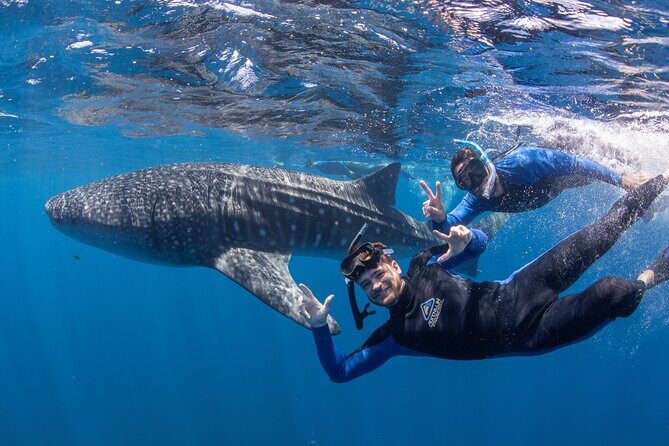 Best of Ningaloo Mantas and More - FAQs