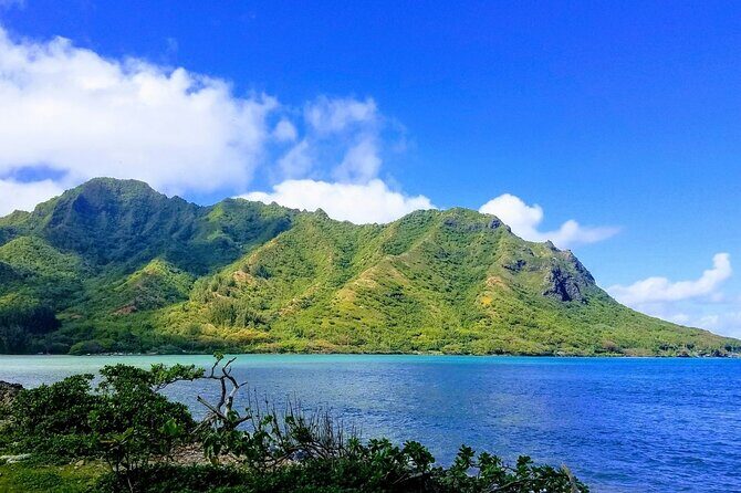 Best of Oahu Full-Day Small-Group Island Tour - An Introduction to the Tour Experience