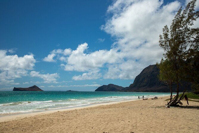 Best Of Oahu: Grand Circle Island Small Group Tour From Waikiki - The Sum Up