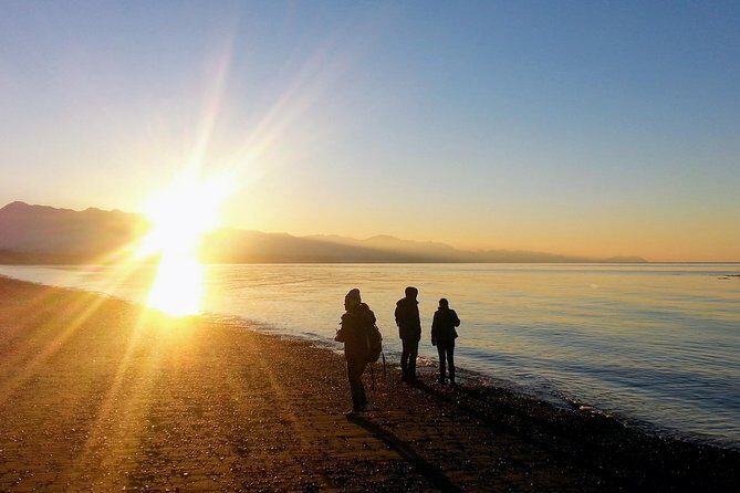 Best of Olympic National Park from Seattle: All-Inclusive Small-Group Day Tour - The Value: What You Get for $367