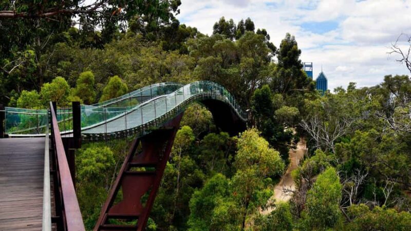 Best of Perth: Private Walking Tour with a Local - Who Should Consider This Tour?