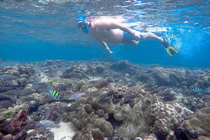 Best of Phi Phi Islands Snorkeling Tour from Phuket - A Closer Look at the Itinerary and Experience