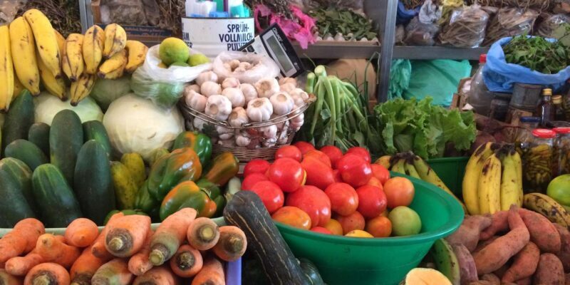 Best of São Vicente & Santo Antão: 2-Day Tour, Guide, Ferry - The Sum Up: Who Should Consider This Tour?