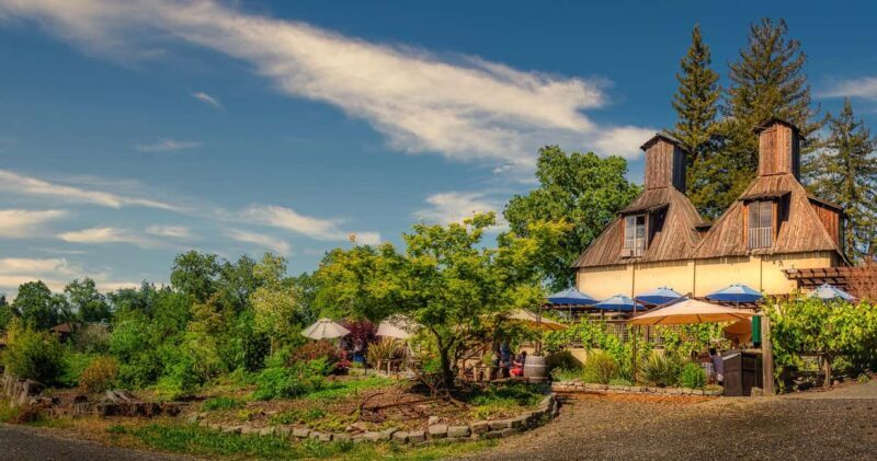 Best of SF: Wine Country, Redwoods, and Hop-on Hop-off Tour - Quirky Guerneville and Russian River Vineyards