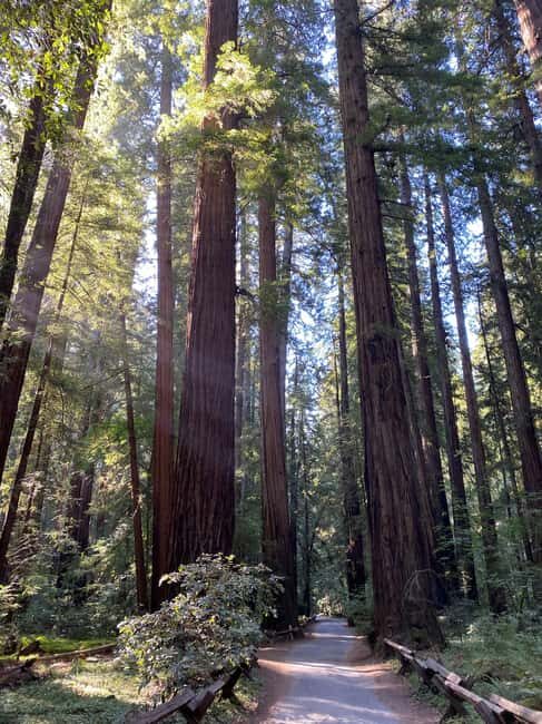 Best of SF: Wine Country, Redwoods, and Hop-on Hop-off Tour - Practical Considerations