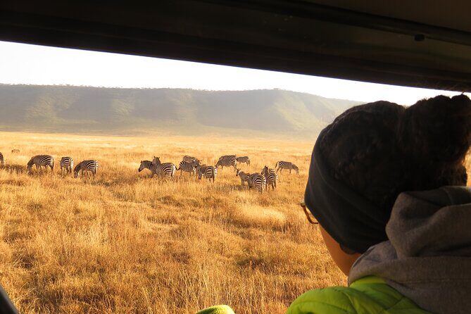 Best Of Six Days Safari Camping safari - What Makes This Tour Stand Out?