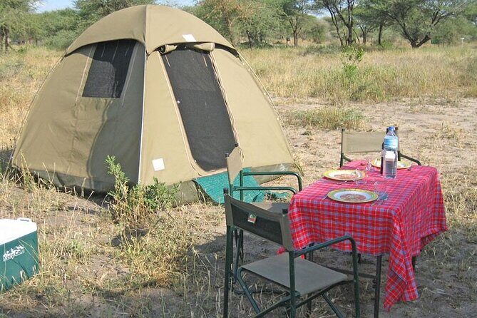 Best Of Six Days Safari Camping safari - Why Travelers Keep Coming Back