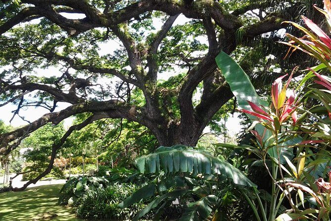 Best of St. Kitts Highlight Tour. - Key Points