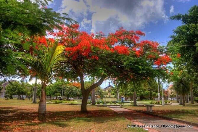 Best of St. Kitts Private Half Day Tour - Final Thoughts: Why This Tour Stands Out