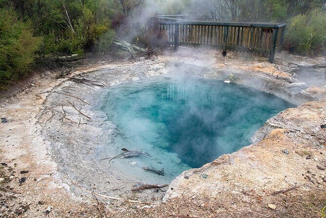 Best of Tauranga & Rotorua's Hidden Secrets - Shore Excursion - FAQs