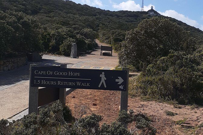 Best Of The Cape 8 Hour Private Tour - Final Thoughts: Who Should Consider This Tour?