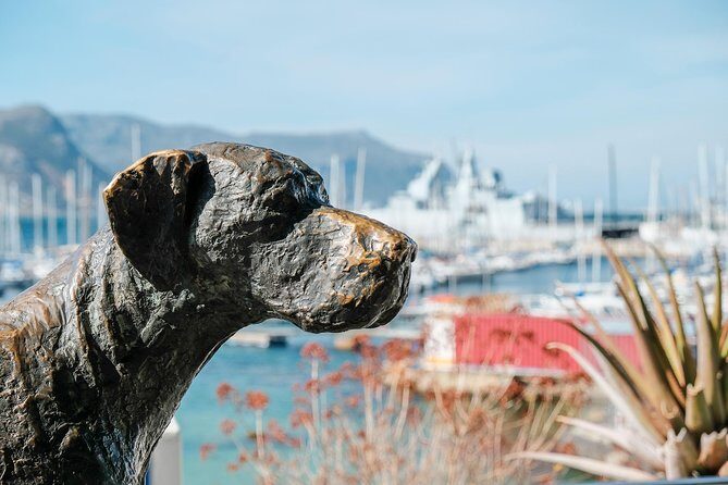 Best of the Cape Peninsula Private Tour - The Sum Up