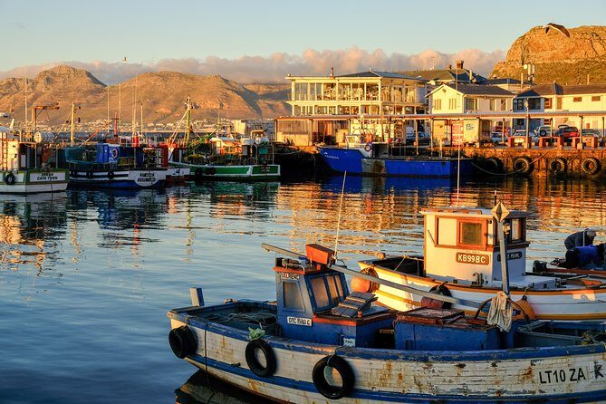 Best of the Cape Peninsula Private Tour - FAQ