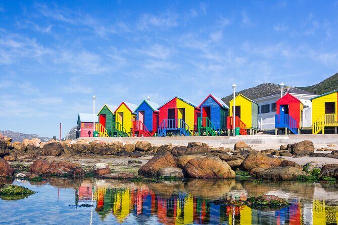 Best of the Cape Private full day tour - Key Points