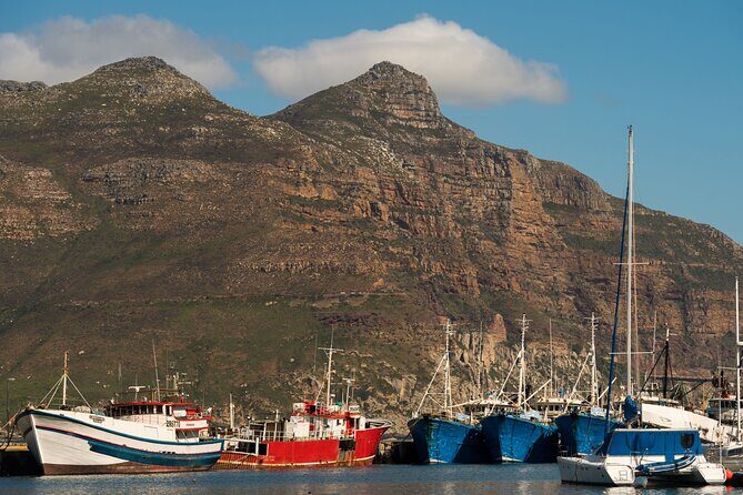 Best of the Cape Private full day tour - The Practical Side: What to Expect