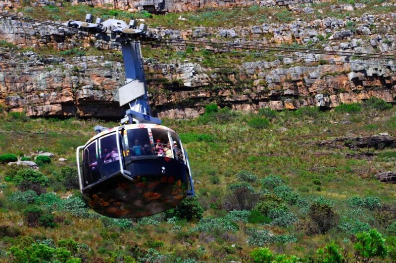 Best of the cape: Table Mountain & Peninsula Private Tour - Scenic Drive and Charming Seaside Towns