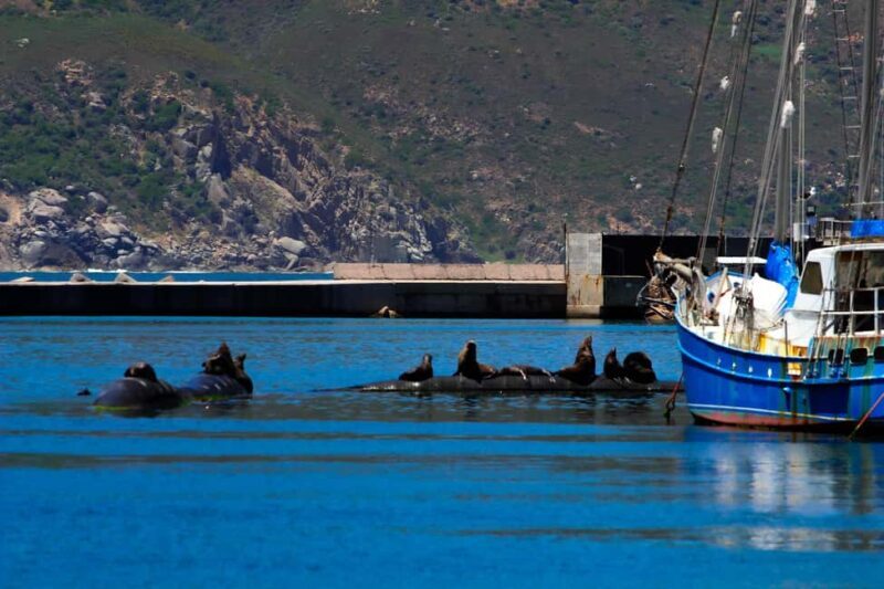 Best of the cape: Table Mountain & Peninsula Private Tour - Final Thoughts