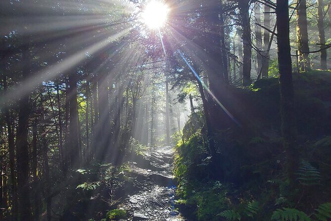 Best of the Smokies Custom Private Tour - Who Will Love This Tour?