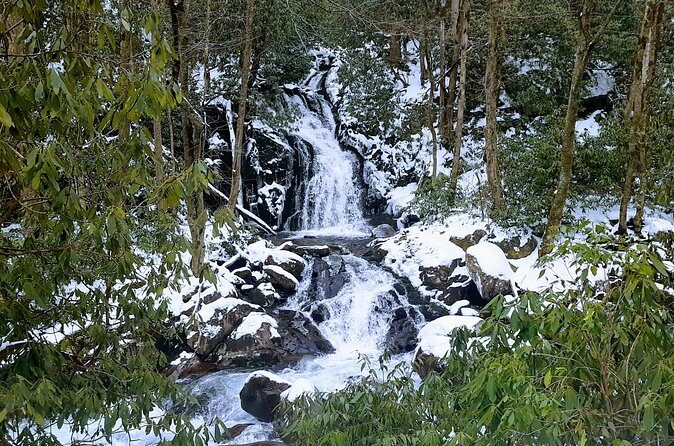 Best of the Smokies Custom Private Tour - The Sum Up