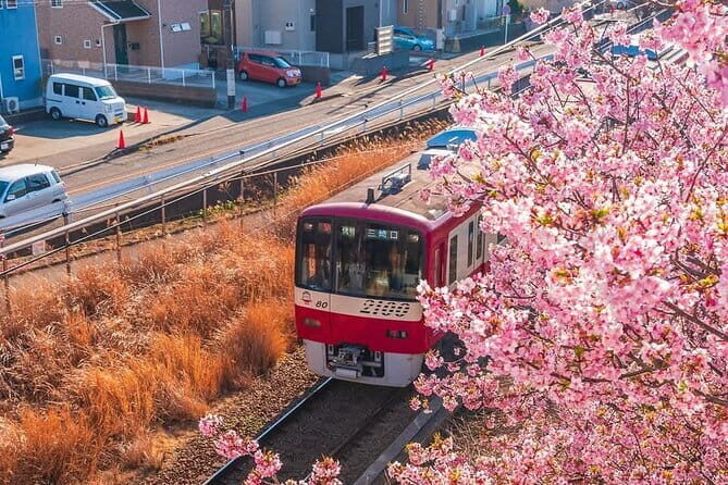Best of Tokyo Private Tour English Driver &Customizable Itinerary - The Sum Up: Who Should Consider This Tour?