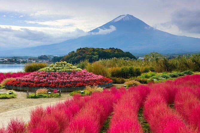 Best of Tokyo Private Tour English Driver &Customizable Itinerary - FAQ