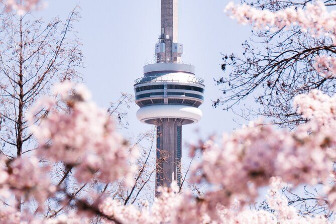 Best of Toronto City Tour with Boat Cruise & CN Tower - Insights from Reviews