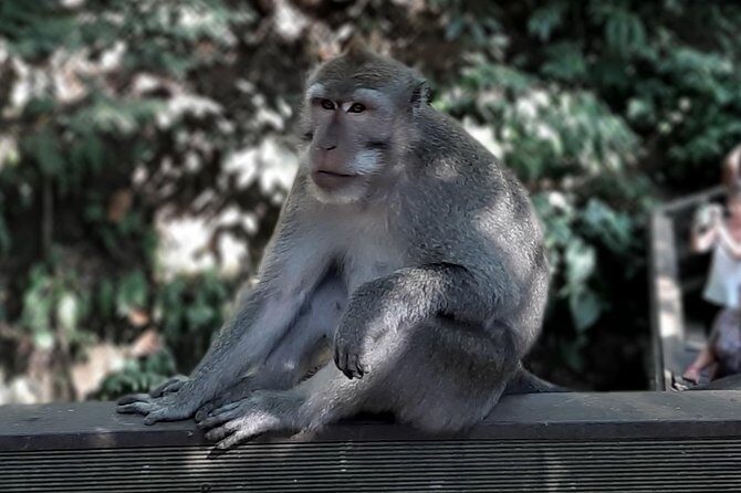 Best of Ubud - All Inclusive - The Itinerary in Detail: What to Expect