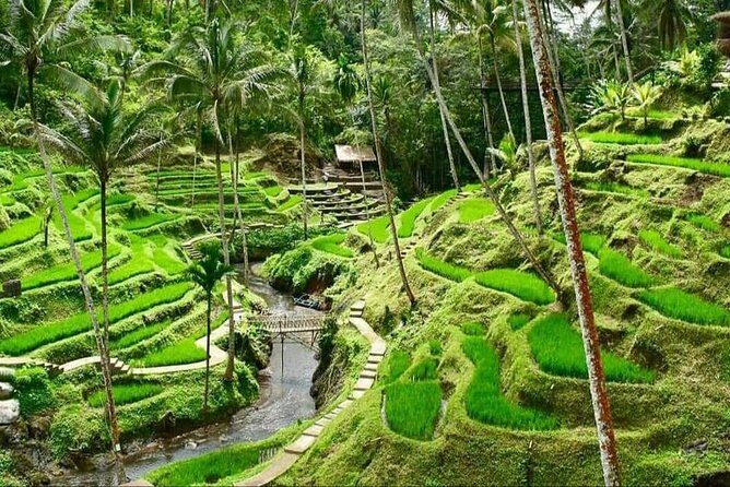 Best of Ubud Full Day Private Guided Tour - FAQ