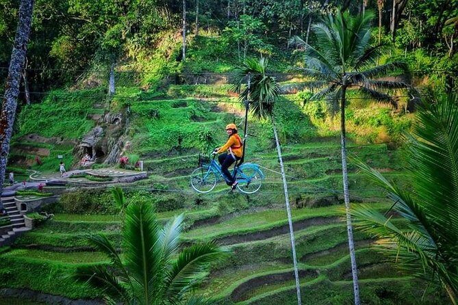Best of Ubud - Full day Tour + FREE WI-FI - Who Would Love This Tour?