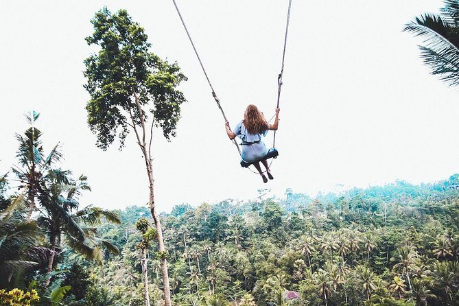 Best of Ubud Full-Day Tour with Jungle Swing - What to Expect from the Itinerary