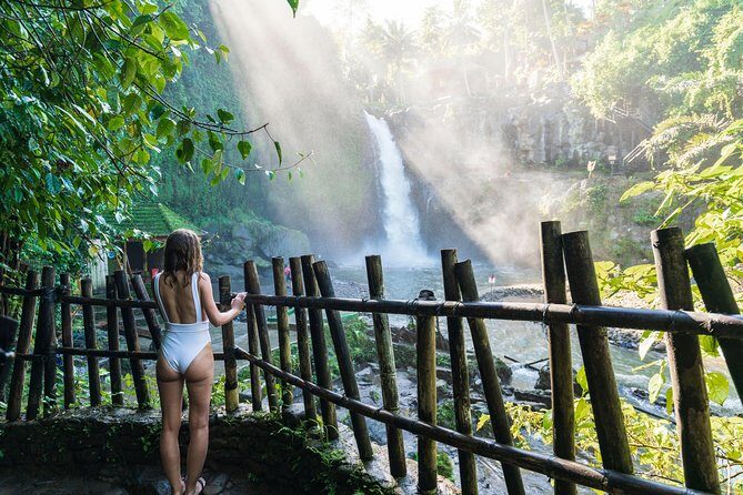 Best of Ubud Full-Day Tour with Jungle Swing - Logistics and Value