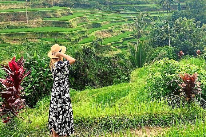 Best of Ubud - Kintamani Volcano View - Private Tour - Transportation and Logistics