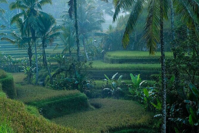 Best of Ubud: Private All-Inclusive Tour with Jungle Swing - A Detailed Look at the Itinerary
