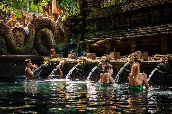 Best of Ubud Private Day Tour - The Detailed Breakdown of the Tour