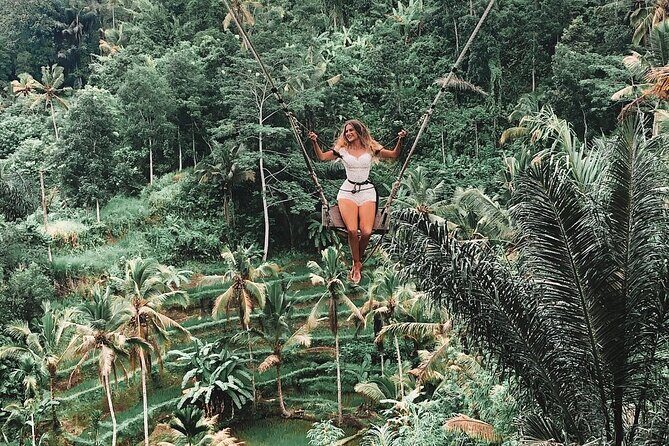 Best of Ubud Private Tour with Jungle Swing Experience - A Detailed Look at the Tour Itself