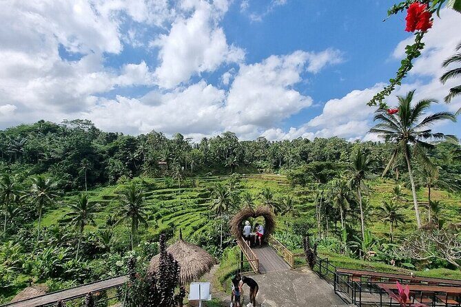 Best of Ubud Private Tour with Jungle Swing Experience - Authentic Experiences and Traveler Feedback
