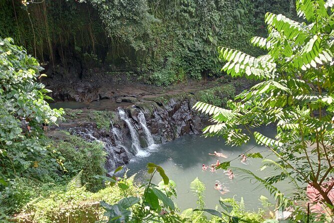 Best of Ubud Scenic Tamansari Waterfall Private Guided Tour - A Complete Breakdown of the Ubud Tour