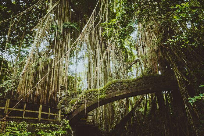 Best of Ubud Sightseeing Private All Inclusive Tour - Frequently Asked Questions