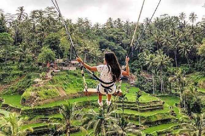 Best of Ubud Tour with Jungle Swing Private and All Inclusive - Additional Stops: Arts & Crafts