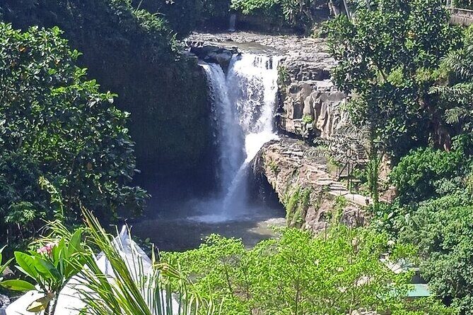 Best of Ubud - Ubud Tour Popular - All Inclusive - FAQs