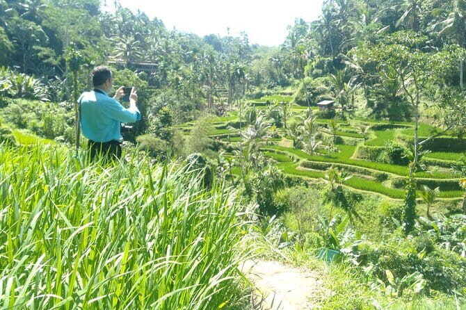 Best Of Ubud Waterfall Swing Private Guided Tour - Key Points