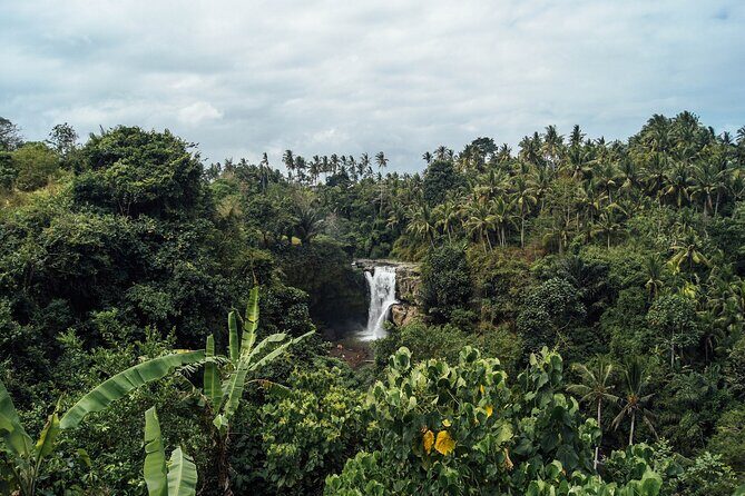 Best of Ubud Waterfalls Private Tour - Final Thoughts